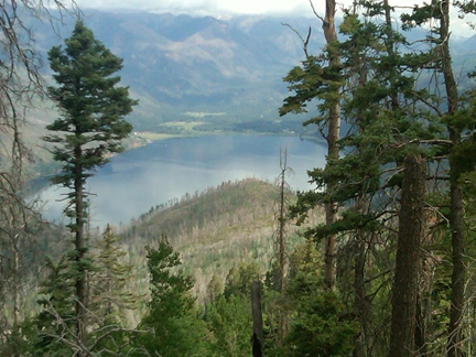 Lake in the pasture, San Juan National Forest!