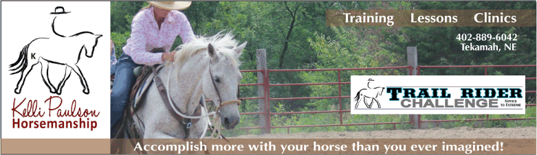 Natural Horsemanship Colt Starting Horse Training